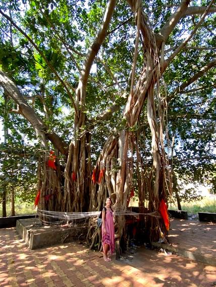 COURS DE YOGA A SAINT-TROPEZ COURS DE YOGA A SAINT-TROPEZ